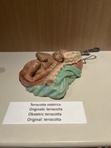IMG_3438
