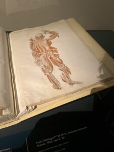 IMG_3465
